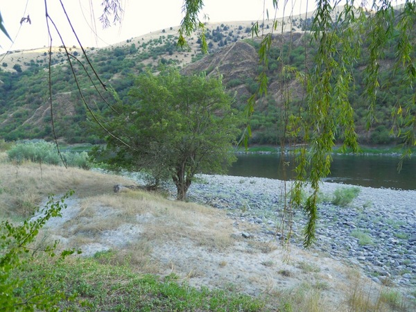 a_photo